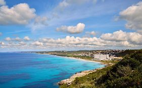 Sol Milanos Pingueinos